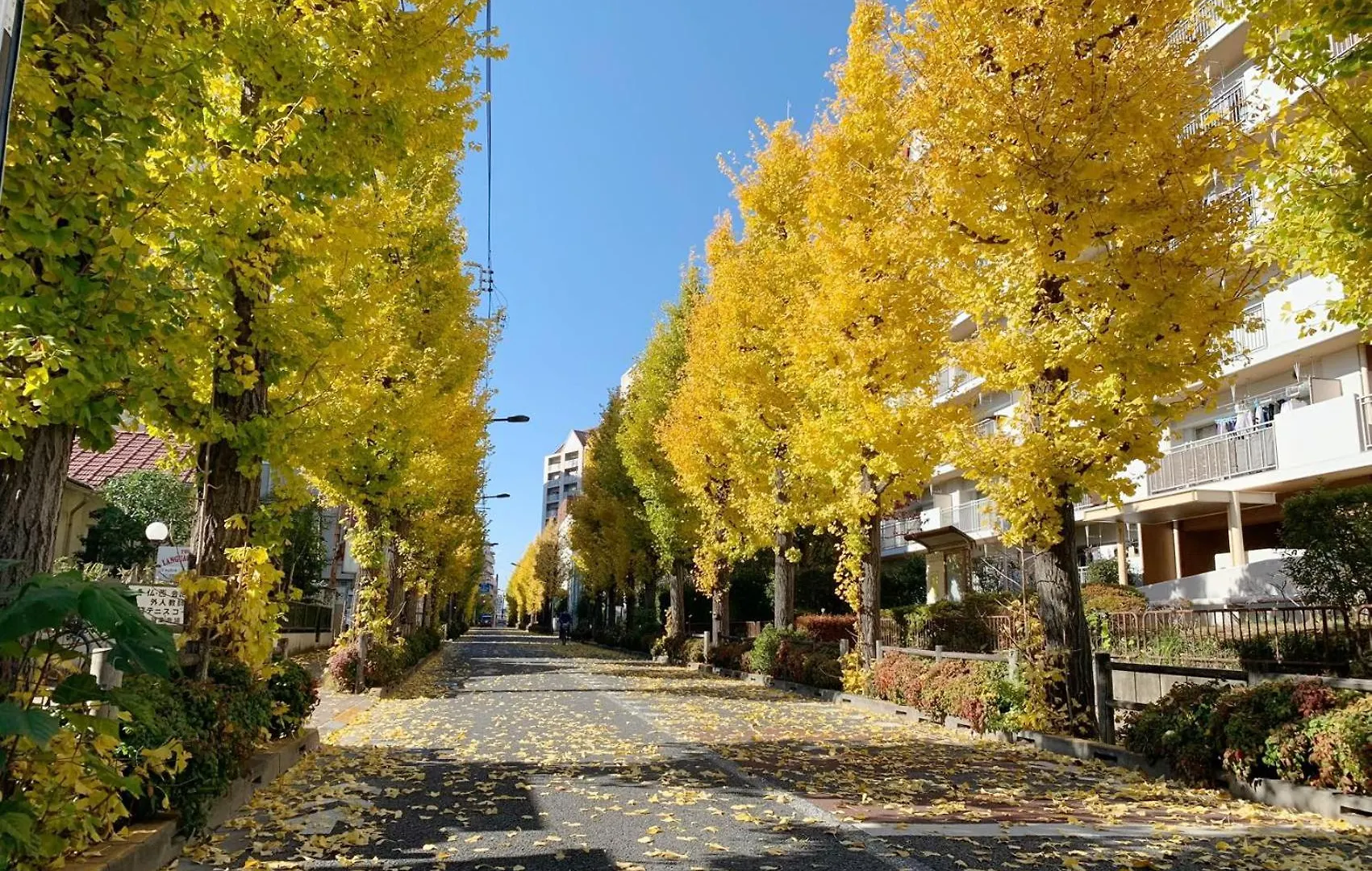 فندق Rosenheim Tokyo Shinjuku